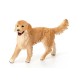 Schleich® 16395 Golden Retriever Hembra
