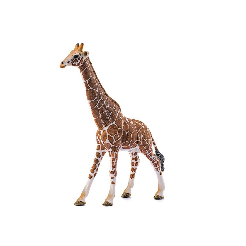 Contenido de Schleich® 14749 Jirafa Macho