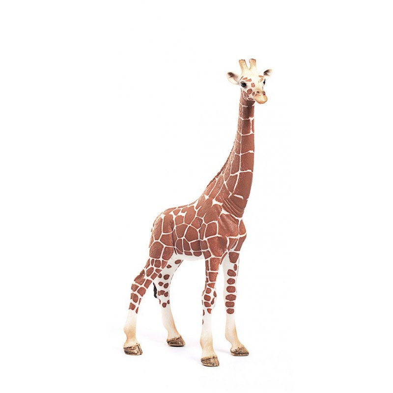 Contenido de Schleich® 14750 Jirafa Hembra