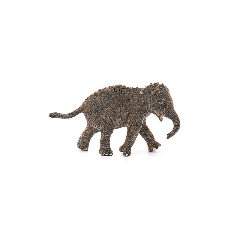 Contenido de Schleich® 14755 Cría de elefante asiático