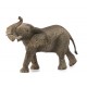 Schleich® 14762 Elefante Africano Macho