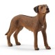 Schleich® 13895 Perro Crestado Rodesiano