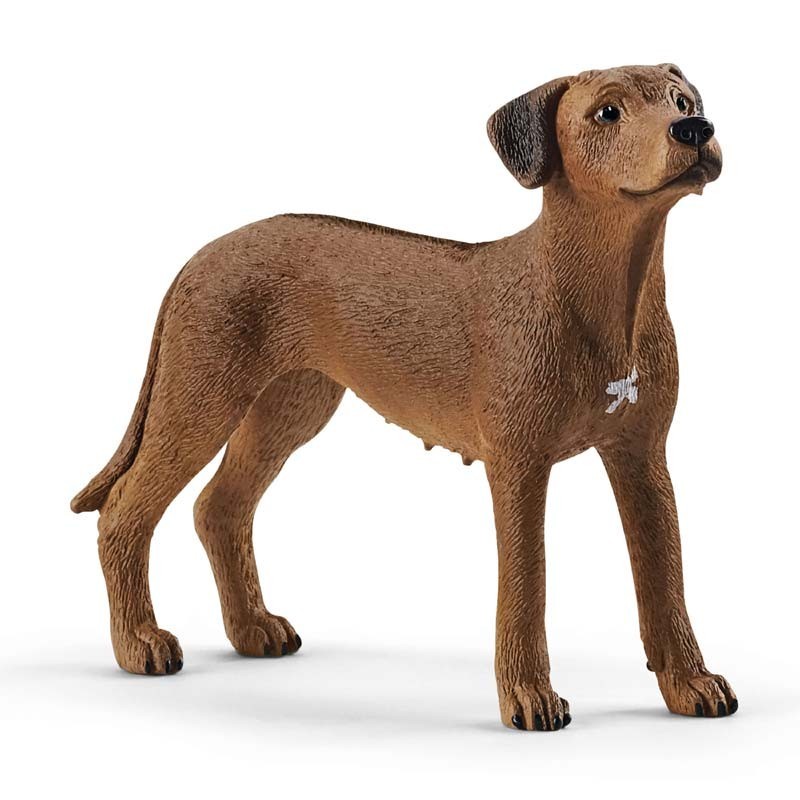 Contenido de Schleich® 13895 Perro Crestado Rodesiano