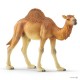 Schleich® 14831 Dromedario