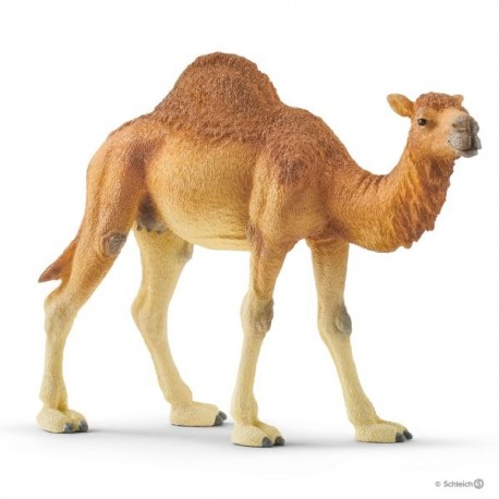 Schleich® 14831 Dromedario
