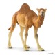 Schleich® 14831 Dromedario
