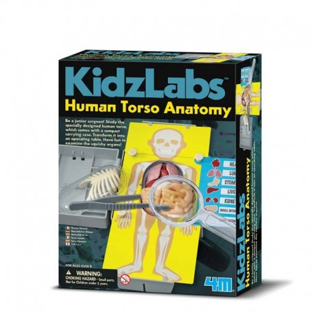 4M Anatomía del Torso Humano