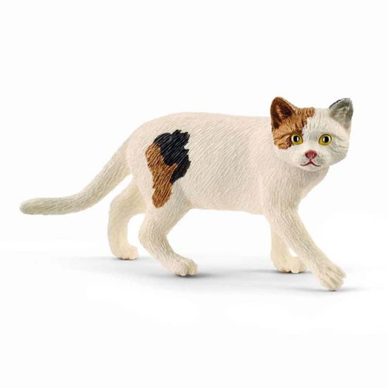 Contenido de Schleich® 13894 Gato de Pelo Corto Americano