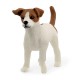 Schleich® 13916 Jack Rusell Terrier