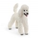 Schleich® 13917 Caniche