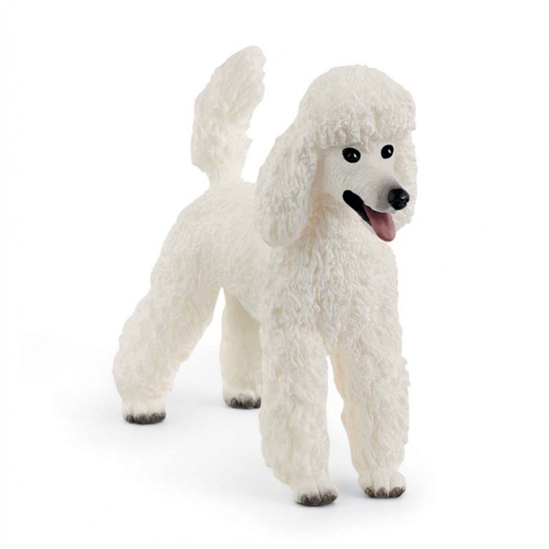 Contenido de Schleich® 13917 Caniche