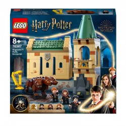 LEGO® 76387 Hogwarts™: Encuentro con Fluffy