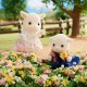 Sylvanian Families 5622 Familia Cabra