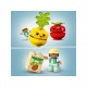 LEGO® 10982 Tractor de Frutas y Verduras
