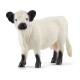 Schleich® 13960 Vaca Galloway