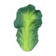 Oli & Carol Kendall the Kale Mordedor