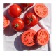 Oli & Carol Renato Tomato Mordedor