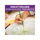 Crayola® 24 Lápices de Colores