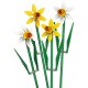 LEGO® 40747 Narcisos