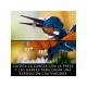 LEGO® 10331 Martín Pescador
