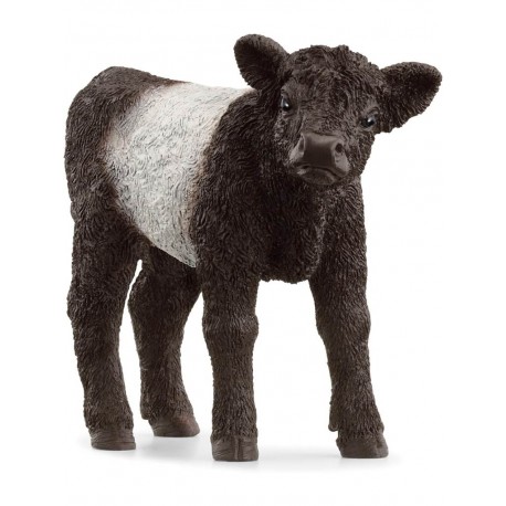 Schleich® 13969 Ternero Galloway