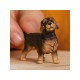 Schleich® 13972 Teckel de Pelo Duro