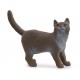 Schleich® 13972 Gato Británico de Pelo Corto