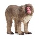 Schleich® 14871 Macaco Japones
