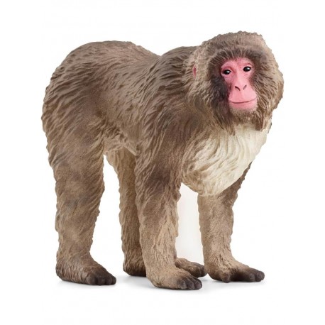 Schleich® 14871 Macaco Japones