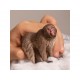 Schleich® 14871 Macaco Japones