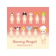 Sonny Angel Serie Animal 2