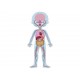 Janod Puzzle Cuerpo Humano 50, 75 y 100 Piezas