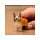 Schleich® 13999 Corgi Galés
