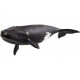 Schleich® 14878 Ballena Franca Glacial