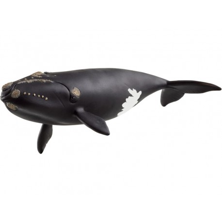 Schleich® 14878 Ballena Franca Glacial