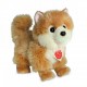 Peluche Pomerania 22 cm