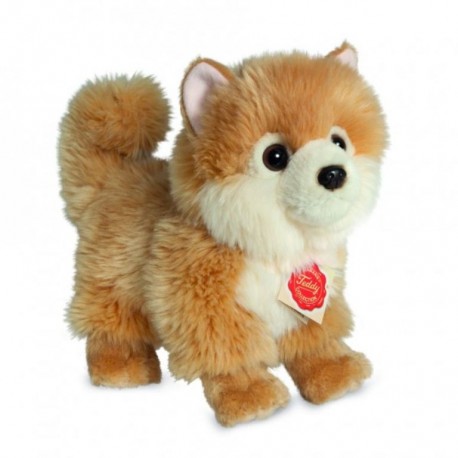 Peluche Pomerania 22 cm