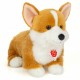 Peluche Corgi 30 cm