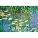 Sentosphère: Puzzle 1000 Piezas Nenúfares de Monet