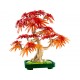 LEGO® 10348 Bonsái de Arce Rojo Japonés