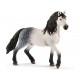 Schleich® 13821 Semental Andaluz