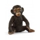 Schleich® 14884 Cría de chimpancé