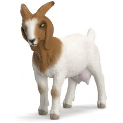 Schleich® 14929 Cabra Boer 