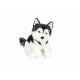 Husky Sentado 30 Cm. 