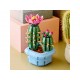 LEGO® 11509 Cactus en Flor