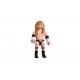 Playmobil® 71963 WWE® Triple H