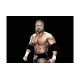 Playmobil® 71963 WWE® Triple H