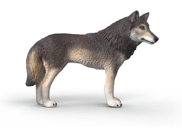 Contenido de Schleich® 14991 Lobo Americano