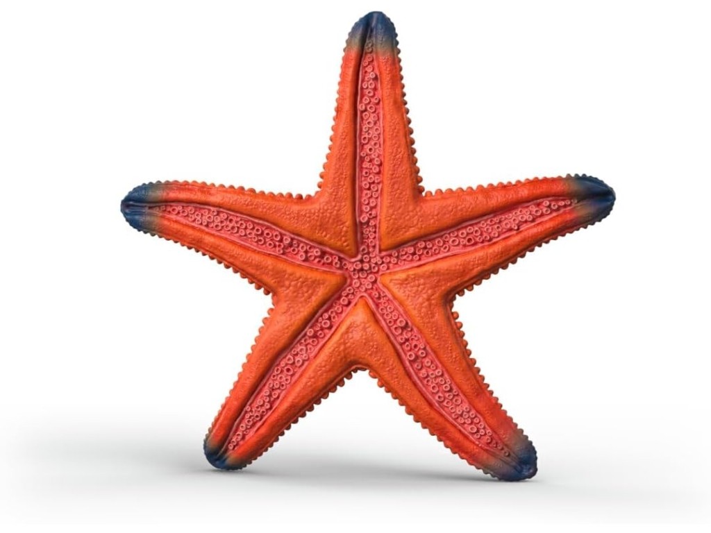 Contenido de Schleich® 14902 Estrella de Mar que Cambia de Color
