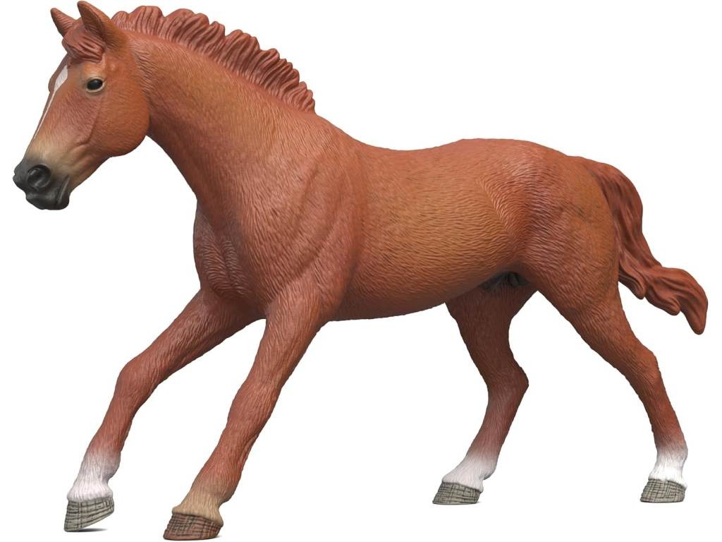 Contenido de Schleich® 14915 Caballo Purasangre Inglés